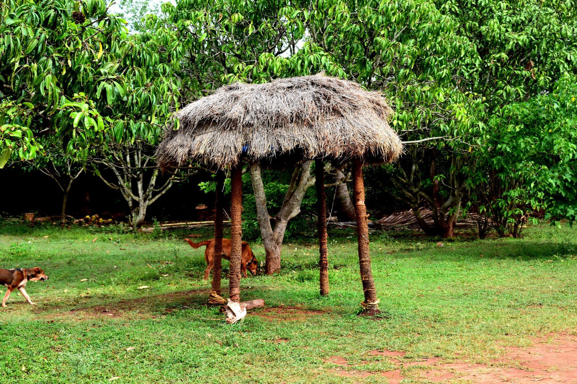 Our Native Village Gādigarpālya Kültér fotó